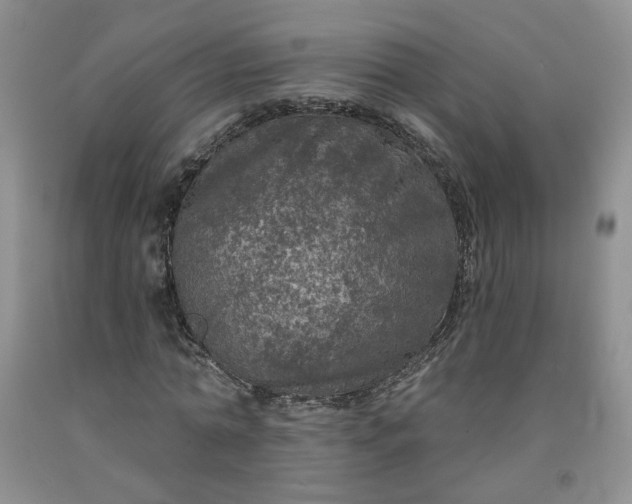 X0000091950774200709201321