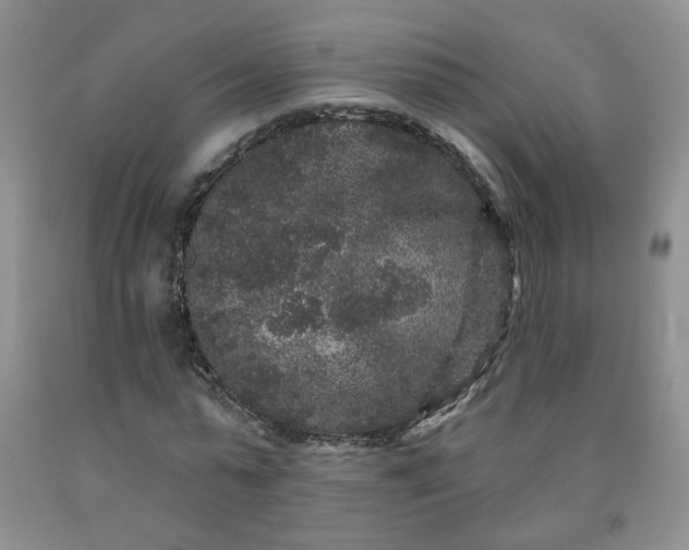 X0000091950775200709201321