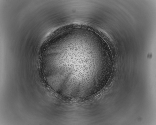 X0000091950776200709201321