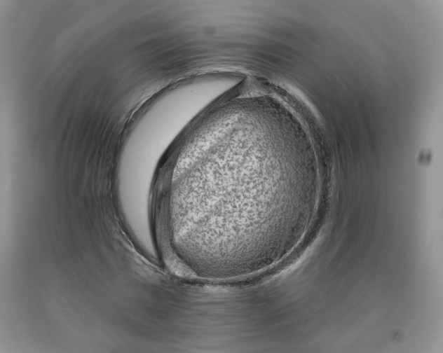 X0000091950777200709201321