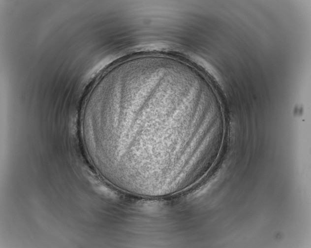 X0000091950778200709201321