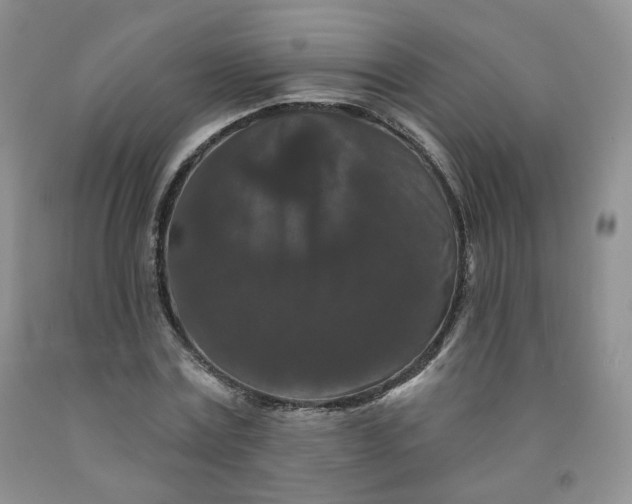 X0000091950779200709201321