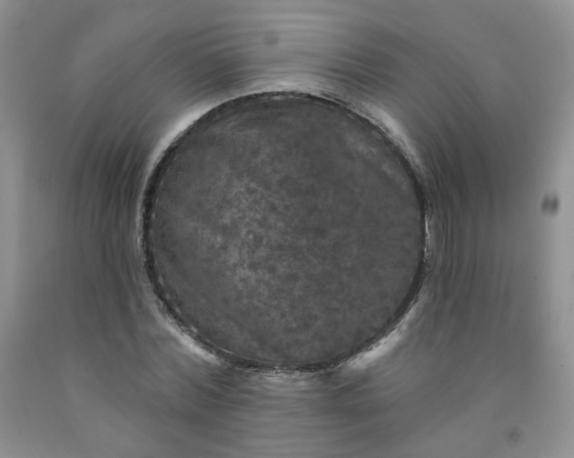 X0000091950780200709201321