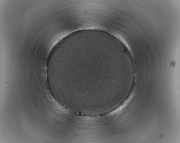 X0000091950781200709201321