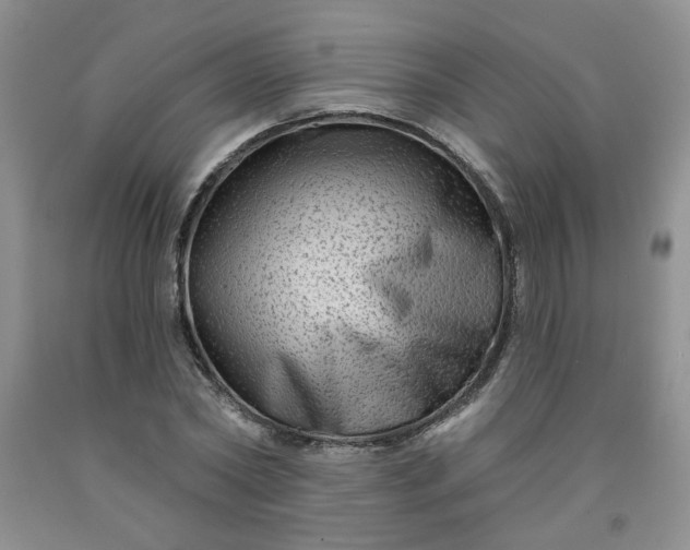 X0000091950782200709201321