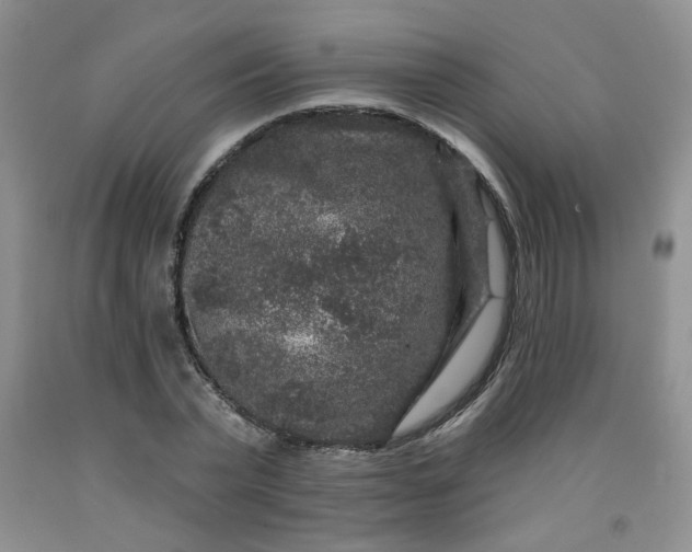 X0000091950783200709201321