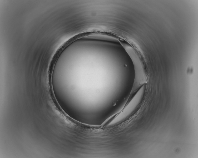 X0000091950784200709201321