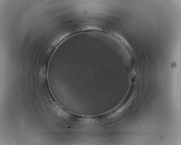 X0000091950785200709201321