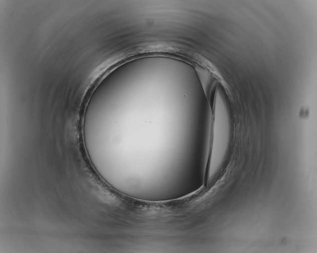 X0000091950786200709201321