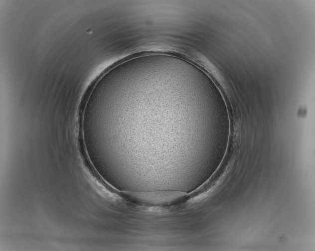 X0000091950787200709201321