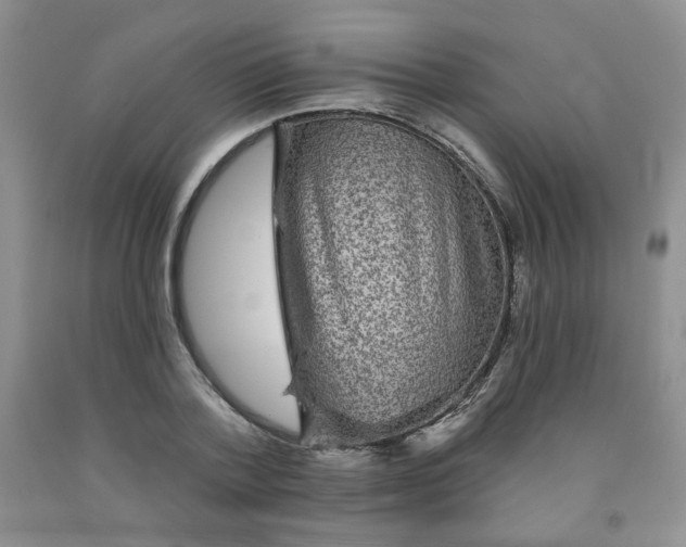 X0000091950788200709201321