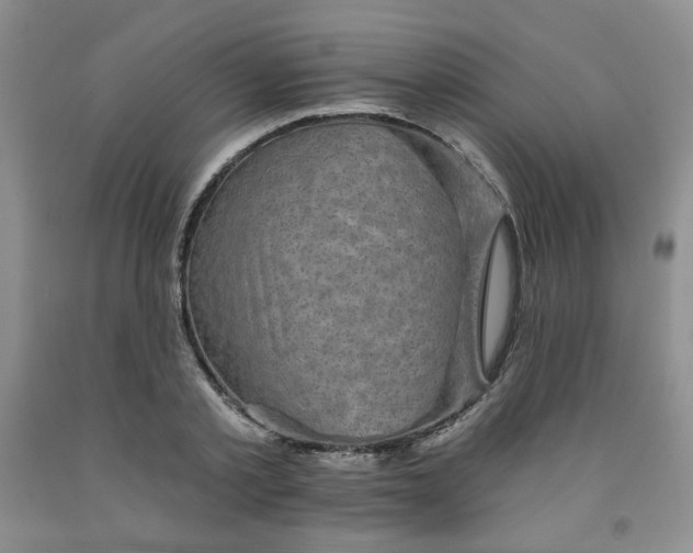 X0000091950789200709201321