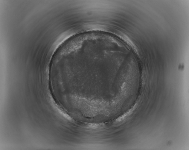 X0000091950790200709201321