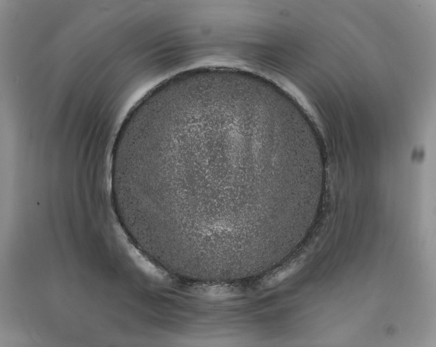 X0000091950791200709201321