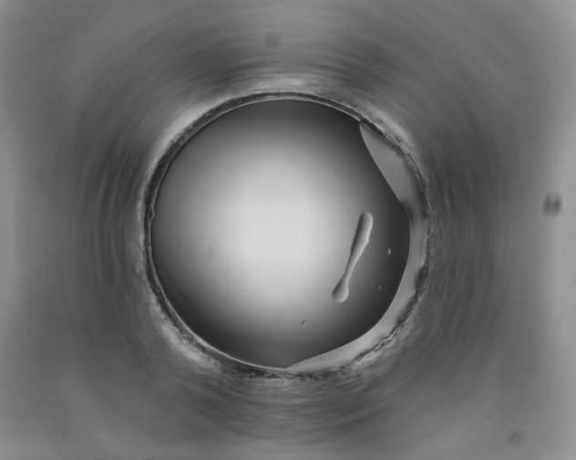 X0000091950792200709201321