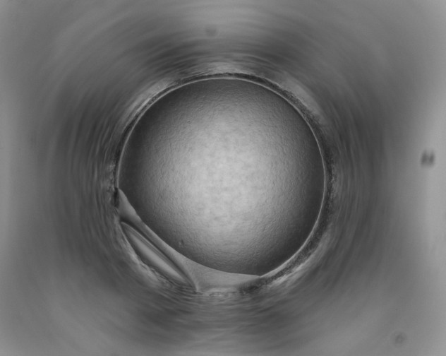 X0000091950793200709201321