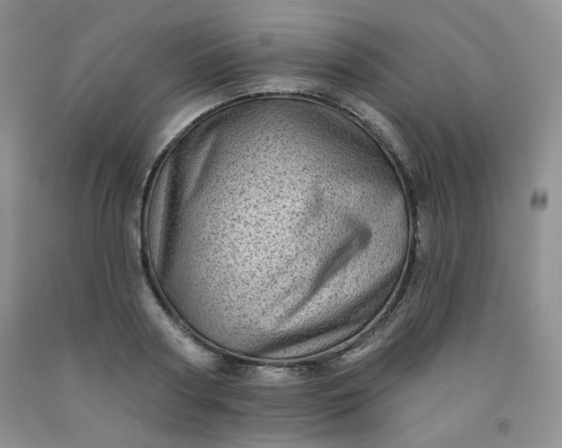 X0000091950794200709201321