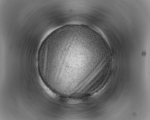 X0000091950795200709201321