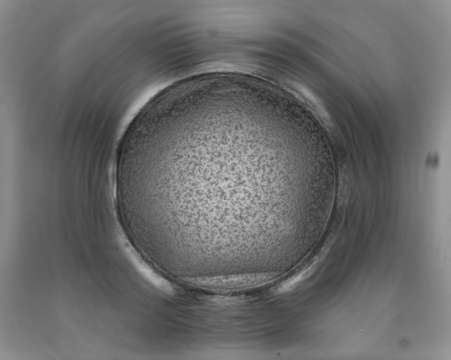 X0000091950796200709201321