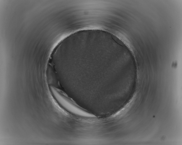 X0000091950797200709201321