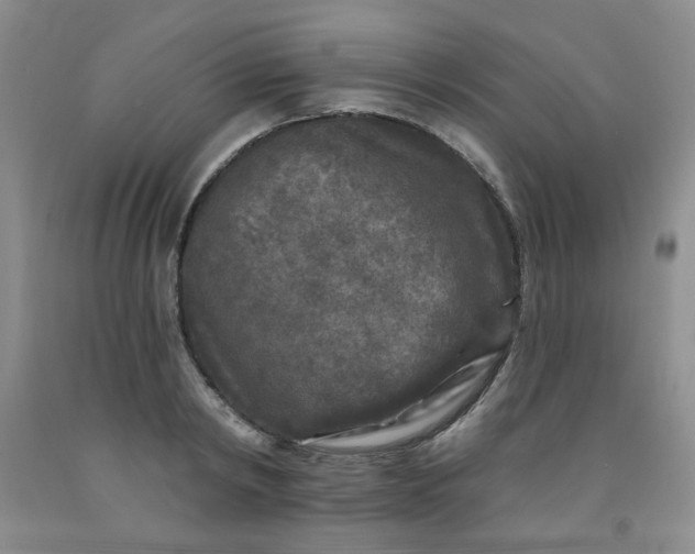 X0000091950798200709201321