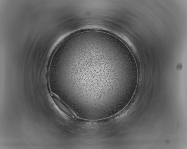 X0000091950799200709201321