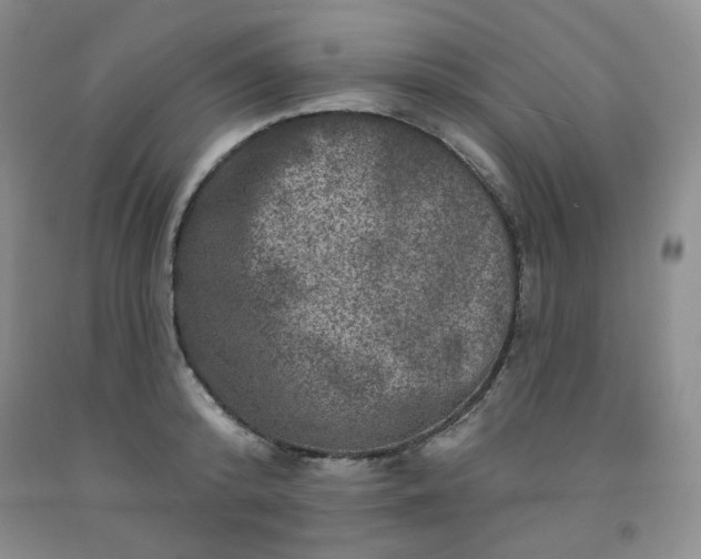 X0000091950800200709201321