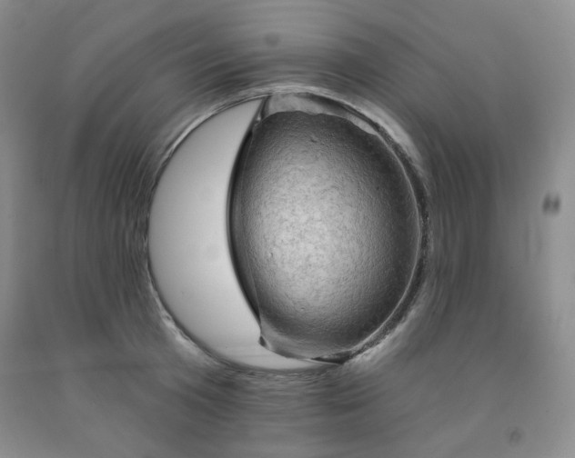 X0000091950801200709201321