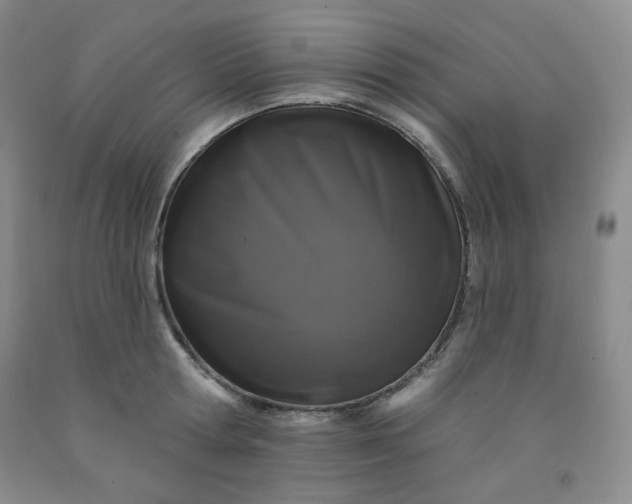 X0000091950802200709201321