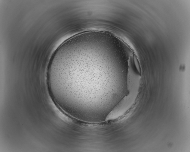 X0000091950803200709201321