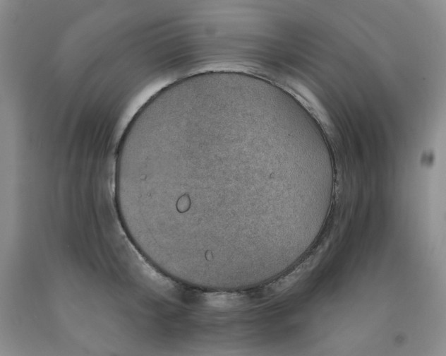 X0000091950804200709201321