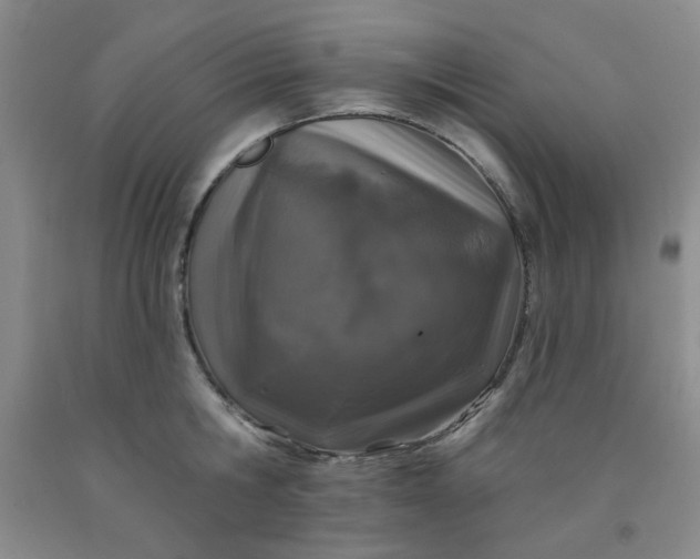 X0000091950806200709201321