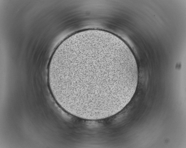 X0000091950807200709201321