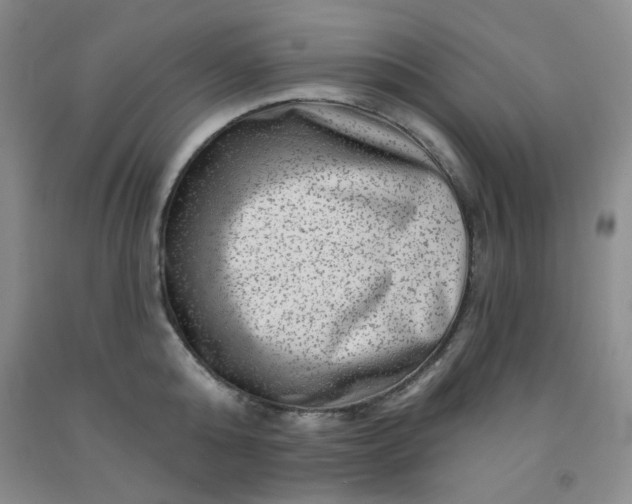 X0000091950808200709201321