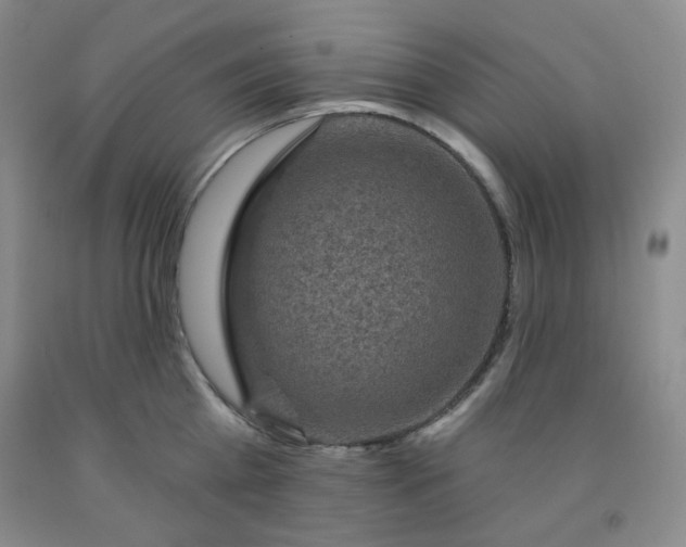 X0000091950809200709201321