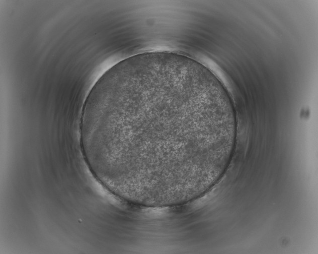 X0000091950810200709201321