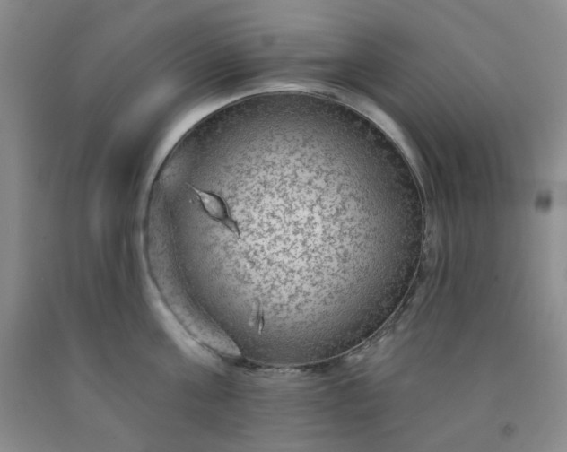 X0000091950811200709201321