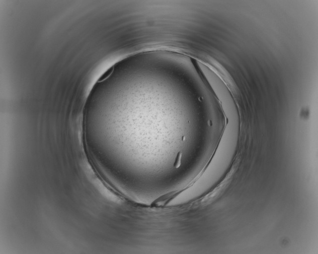 X0000091950812200709201321