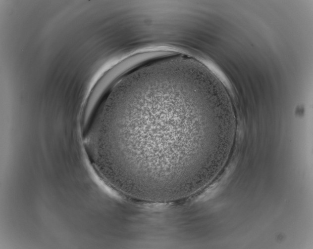 X0000091950813200709201321