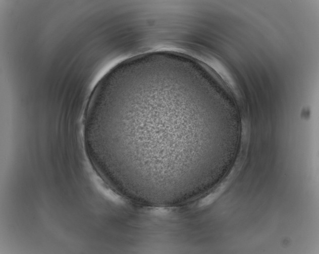 X0000091950814200709201321