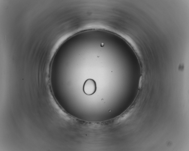 X0000091950815200709201321