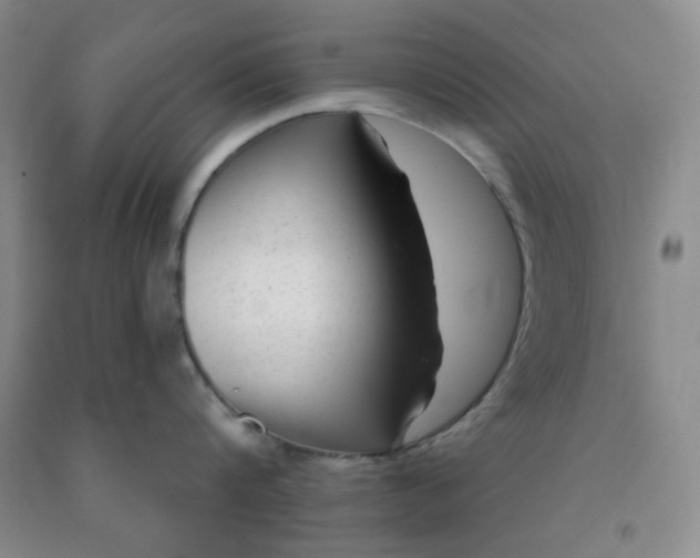 X0000091950816200709201321