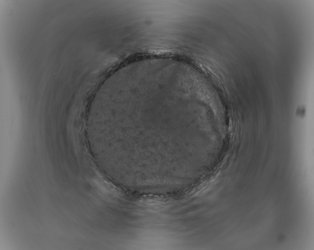 X0000091950817200709201320