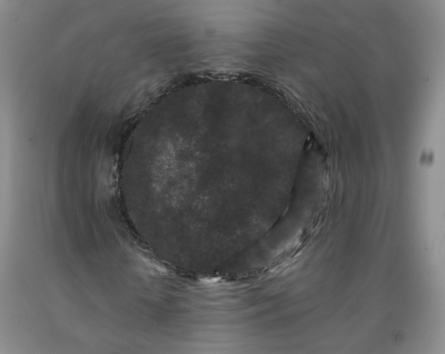 X0000091950818200709201320