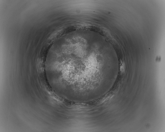 X0000091950819200709201320