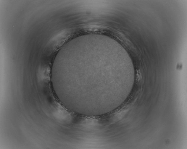 X0000091950820200709201320