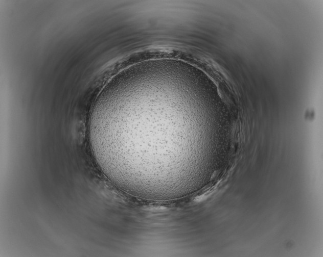 X0000091950821200709201320