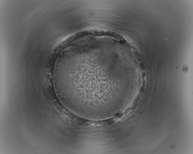 X0000091950822200709201320