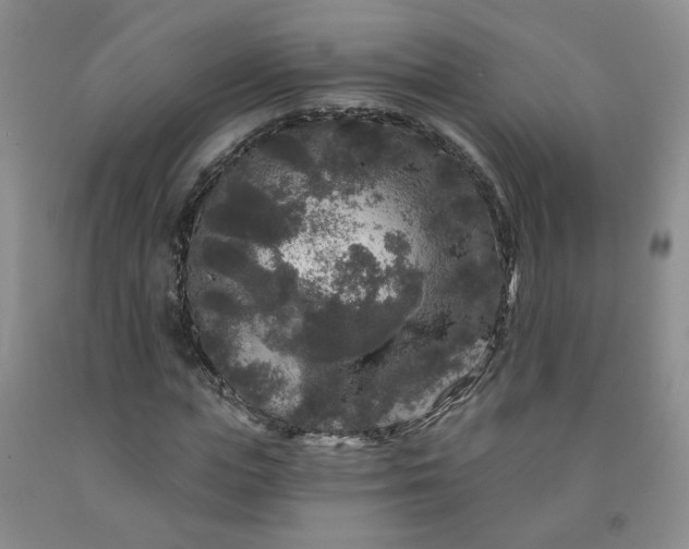 X0000091950823200709201320