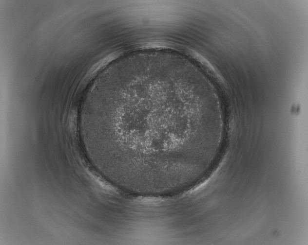 X0000091950825200709201320